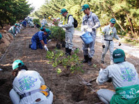 ジャパンエナジー、新潟県で植林ボランティア 画像