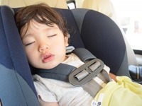 車内熱中症に注意!---15分で人体に危険なレベル、日陰でも差はわずか 画像