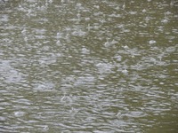 大雨で高速道路3路線が通行止め…土砂災害の危険度が高まる　8月18日14時30分現在まとめ 画像