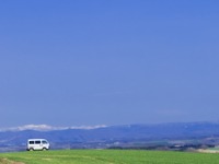 コロナ禍でのクルマ購入、7割以上が車種選びにキャンプを意識　定額カルモくん調べ 画像
