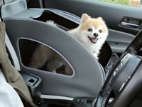 ホンダ、愛犬用アクセサリー装着車を展示予定…アウトドアドッグフェスタ in 八ヶ岳 画像