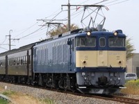 高崎のEF64形電気機関車を鉄道博物館で展示…初代2階建て新幹線E1系と並ぶ　9月15-27日 画像