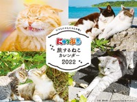 『にゃっぷる』旅するねこ…2022年カレンダー発売へ 画像