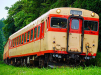 いすみ鉄道で四国の気動車急行が復活!?…国鉄の実物ヘッドマーク 10月9日から 画像