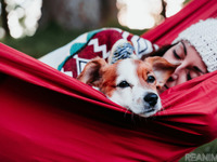 愛犬とグランピング「ドッグフレンドリーテント」…ラフォーレグランピングフィールド 修善寺 画像