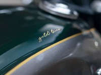 ハンドペイントの「ゴールドラインエディション」、トライアンフが7車種を限定発売 画像