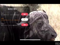 360度映像が可能なオンライン・サファリ…HIS　11月28日 画像