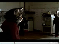［動画］キムタクよりカッコいい猫人間!?　豪トヨタ カローラ のCM 画像