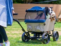 アウトドアペットワゴン---小型犬の多頭飼いや中型犬向けの大型ワゴン 画像