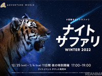 夜の動物を車から観察「ナイトサファリ WINTER 2022」 冬休み 画像