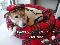 【青山尚暉のわんダフルカーライフ】2021年 わんダフルカー・オブ・ザ・イヤー、“今年の1台”とコンパクトカー部門は？ 画像