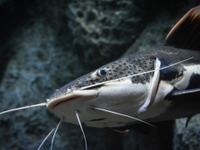 さん・ちゃん付け、裏コード、自虐系…愛車に呼び名をつける人たちそれぞれの想い 画像