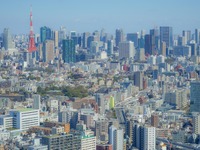 MaaSのデータを連携する必要性や課題をとりまとめ　国交省 画像