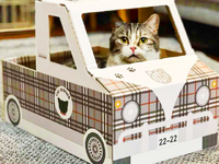 狭い所とダンボールが好きな猫のための「猫トラック」発売 画像