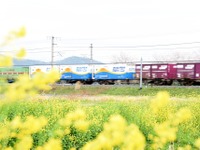 滋賀県の貨物拠点駅、実現に至らず…仮称・米原貨物ターミナルが事業中止に 画像