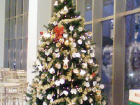 【クリスマス】サンタも登場！パサール幕張でチャリティーイベント　12月25日まで 画像