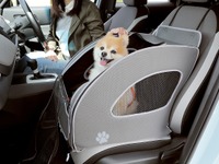 ホンダ N-BOX で愛犬といっしょにキャンプ…インターペット2022で提案へ 画像