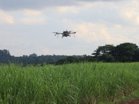 ヤマハ発動機、ブラジルの農業用ドローンスタートアップ企業へ出資 画像