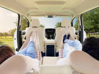 リラックス用品「シャーミング(車眠具)」登場…ハンモックなど カーメイト 画像