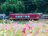 京都丹後鉄道、QR定期券・QR回数券を導入…乗り越し精算もスマホでOK 画像