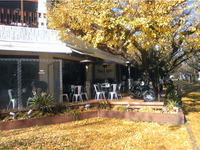 トライアンフカフェ、オープン　12月21日まで 画像