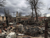 中古車市場に異変…ウクライナ侵攻でロシア向け輸出激減、全体の価格も下落［新聞ウォッチ］ 画像