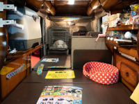 【GWイベント情報】5月6-8日…キャンピングカー、クラシックカー、スーパーカー 画像