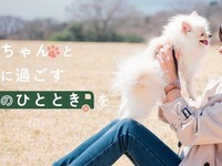 「わんちゃん専用バス」で愛犬とお出かけ…わんわんトラベルバスツアー 画像