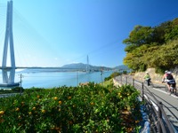 【マイクロモビリティ ～ 知っておきたい、世界の大きな1マイル革命～】第4回 進化する自転車が拡張するマイクロモビリティ（前編） 画像