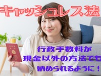 交通反則金もクレジットカード払いOKに…「キャッシュレス法」成立の影響 画像