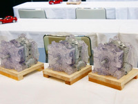 【東京オートサロン09】ロータリーエンジンの構造を親子でチェック 画像