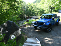 苗場の森のボードウォークを補修、ジープが支援…フジロック開催に向けて 画像