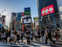 利用者の6割以上は「シブヤの20代」、24時間貸出の「オールタイムレンタカー」会員数5000人突破 画像