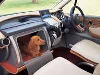 ペット仕様車は購入したくない…61％　オークネット調査 画像