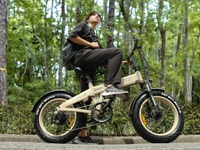 タフネススタイルの電動ファットバイク登場、折りたたんで車載も可能 画像