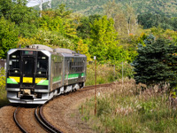 JR北海道のH100形気動車に観光仕様車…線区の特色を表すラッピングも　10月末から運行 画像