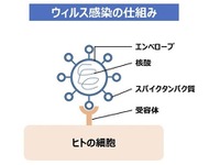 ウイルス不活性化の新技術、新型コロナに対して期待　日産など共同開発 画像
