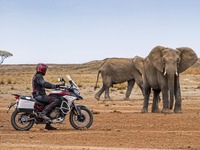 ドゥカティ『ムルティストラーダ V4』に「ラリー」、オフロード長距離ツーリングに対応…欧州発表 画像