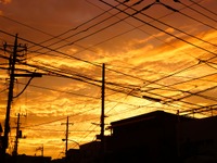 災害時に電柱が道路を閉塞するおそれ、移転を「勧告」できる制度がはじまる 画像