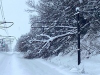 復旧作業が難航する信越本線…大雪による倒木　12月21日の鉄道運休情報 画像