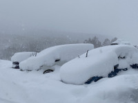 軽油は寒冷地で凍る!? 雪国での駐車時にはワイパーは立てるべき? 冬ドライブ講座【カーライフ 社会・経済学】 画像
