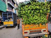 インドのEVは100万台？ 2022年インド乗用車販売ランキングを詳しく解説【ベンガルール通信その25】 画像