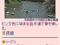 まっぷるガイドで「お花見特集」を配信 画像