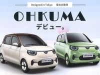 中国製EVと太陽光発電をセットで提供、事業を検討 画像
