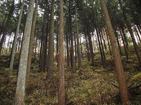 アイシン精機、豊田市と 企業の森づくり協定 を締結 画像