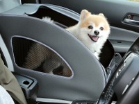 愛犬に優しいホンダ車や純正アクセサリーを紹介予定…インターペット2023 画像
