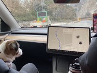 ペット同伴EVドライブ旅行の難しさと「目的地充電」の需要性【テスラ モデルY 買いました 16】 画像
