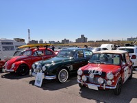 河川敷に200台を超える旧車や名車が大集結…クラシックカーヒストリックカーミーティングTTCM2023 画像