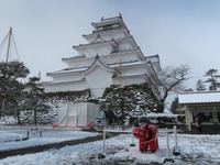 産官学民連携やモビリティ分野で積極的に…会津若松市、仙台市【MaaSがもたらす都市変革】 画像