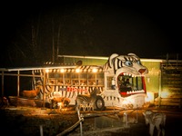 暗闇からライオンやトラが！ ナイトサファリ開催…4月1日より那須サファリパーク 画像